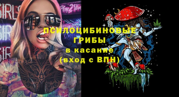 бутират Алзамай