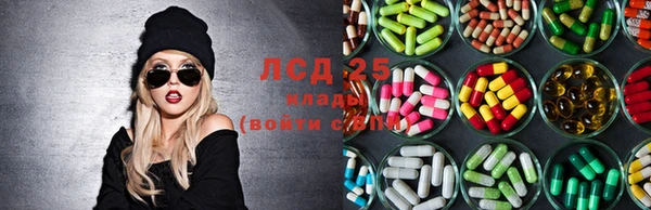 спиды Алексеевка